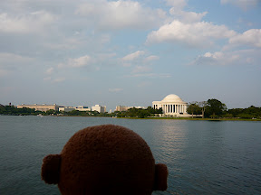 CM looking across the tidal basin 