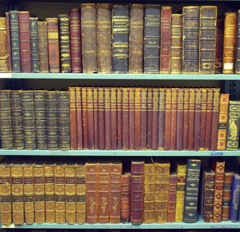 [Old20Leather20320shelves20LLR2.jpg]
