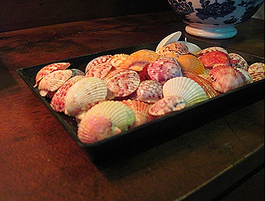 IMG_2078 IMG_2078