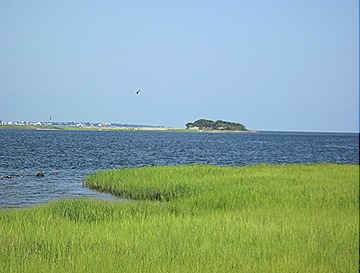 IMG_2224 IMG_2224