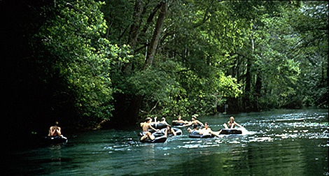 ichetucknee-tubing-picture ichetucknee-tubing-picture