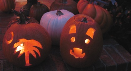 IMG_2626 IMG_2626