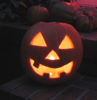 IMG_2627 IMG_2627