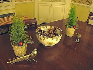 IMG_2995 IMG_2995