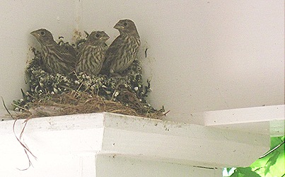 IMG_3821 IMG_3821