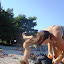  &ndash; Vau! Iz ove perspektive more sasvim drugačije izgleda! &ndash; 27-Aug-2008