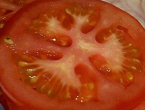 [tomatoes[3].jpg]