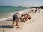 Sand Castle.