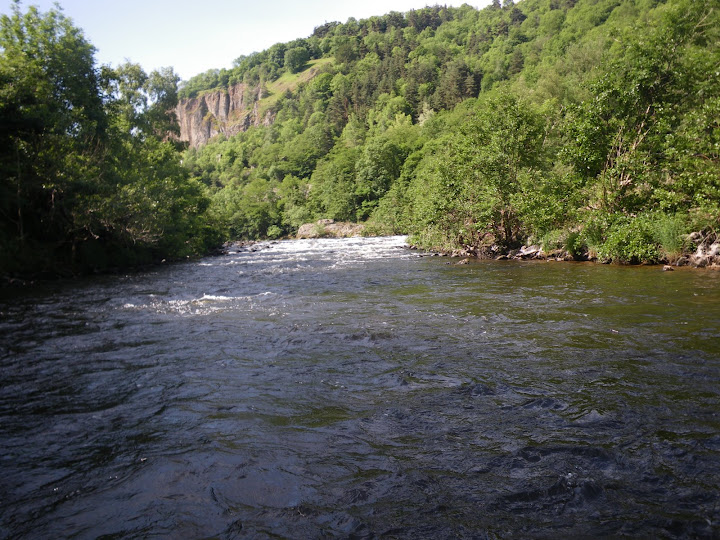 IMGP0009.JPG