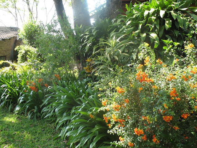 [September20080982.jpg]