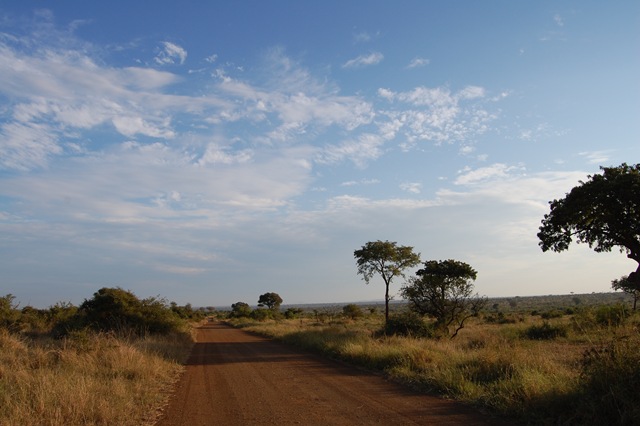[Kruger Park 418[3].jpg]