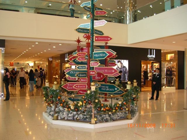 [arbol -1 (5)[2].jpg]