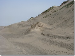5073 Sand Dunes South Padre Island Texas