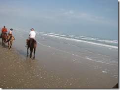 5290 Horseback Riding on the Beach South Padre Island Texas