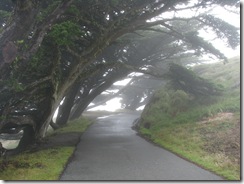3262 Point Reyes Lighthouse Point Reyes CA 3262 Point Reyes Lighthouse Point Reyes CA