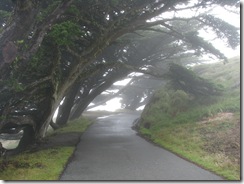 3262 Point Reyes Lighthouse Point Reyes CA