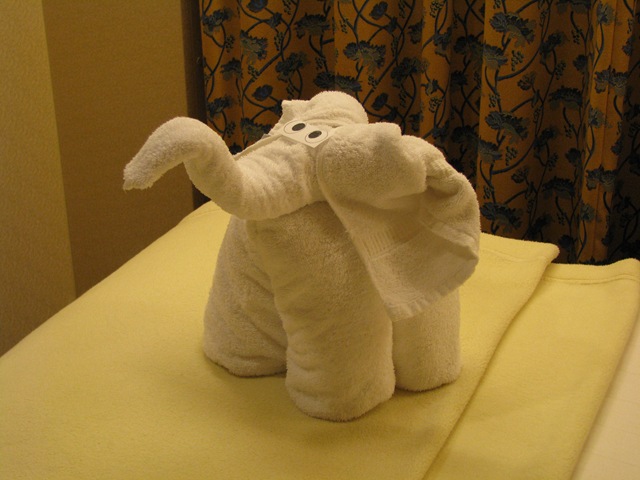 [4819 Towel Elephant MS Westerdam[2].jpg]