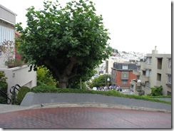 3461 Lombard Street San Francisco CA 3461 Lombard Street San Francisco CA