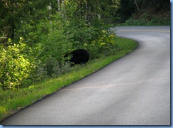 9439 Black Bear Going To The Sun Road GNP MT