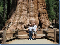 2496 Sherman Tree Sequoia National Park CA