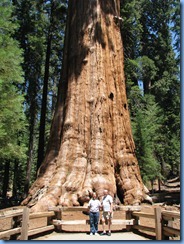2498 Sherman Tree Sequoia National Park CA