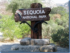 2434 Sequoia National Park CA