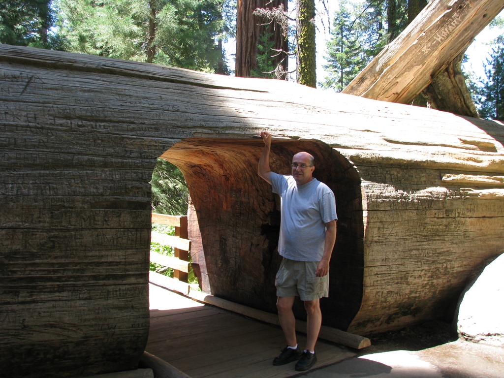 [2509 Sherman Tree Trail Sequoia National Park CA[3].jpg]