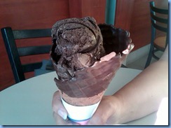 1505a Baskin Robbins Ice Cream
