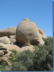 2925 Skull Rock Joshua Tree National Park CA