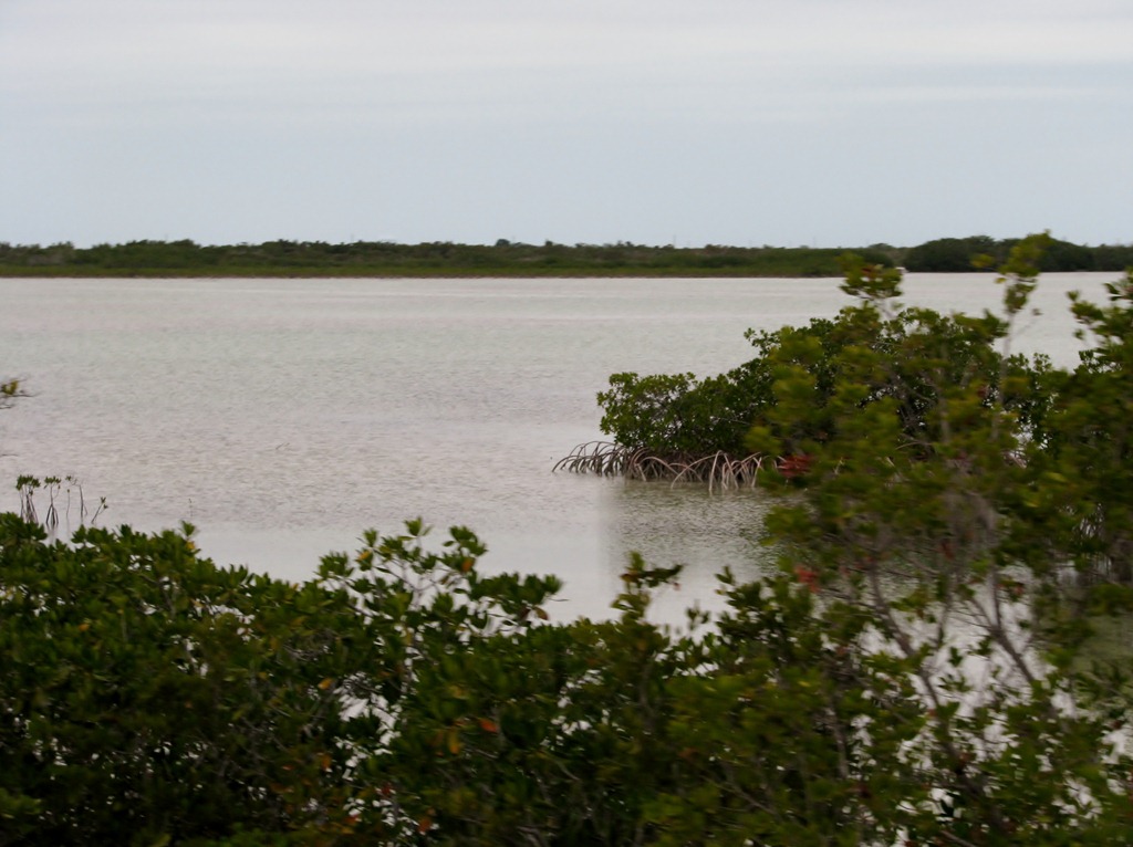 [7235 U.S 1 The Overseas Highway FL[3].jpg]