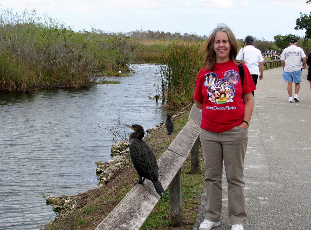 [7394 Everglades National Park FL- Royal Palm Anhinga Trail - Karen & Anhinga[3].jpg]