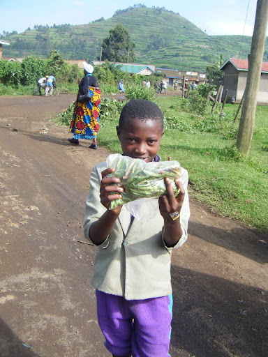 harvesting grasshoppers