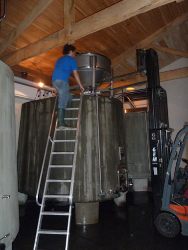 Grapes Dropped into Concrete Tanks