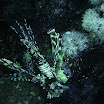 20070513-0042.jpg