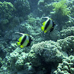 20070513-0045.jpg