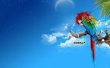 Parrot Wallpaper Wallpapers