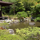 SDC11358.JPG