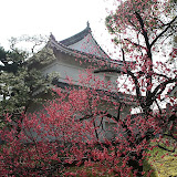 IMG_1494.JPG