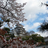 IMG_3939.jpg