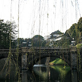 IMG_5206.JPG