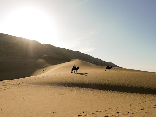 Camel ride