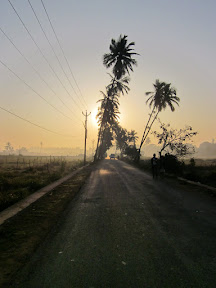 On the way to Vasco (India, 2011)