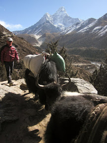 On the way to Dingboche (Solukhumbu, Nepal 2011)
