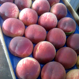 21-06-07_1540.jpg