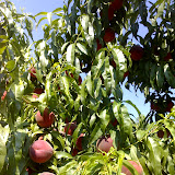 01-08-07_1041.jpg