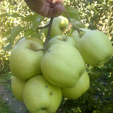 19-09-06_1038.jpg
