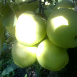 19-09-06_1036.jpg