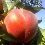 22-08-06_1026.jpg
