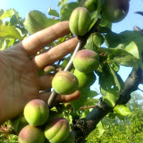 workalia e naturalia_13.jpg