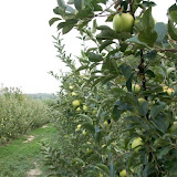 workalia e naturalia_24.jpg